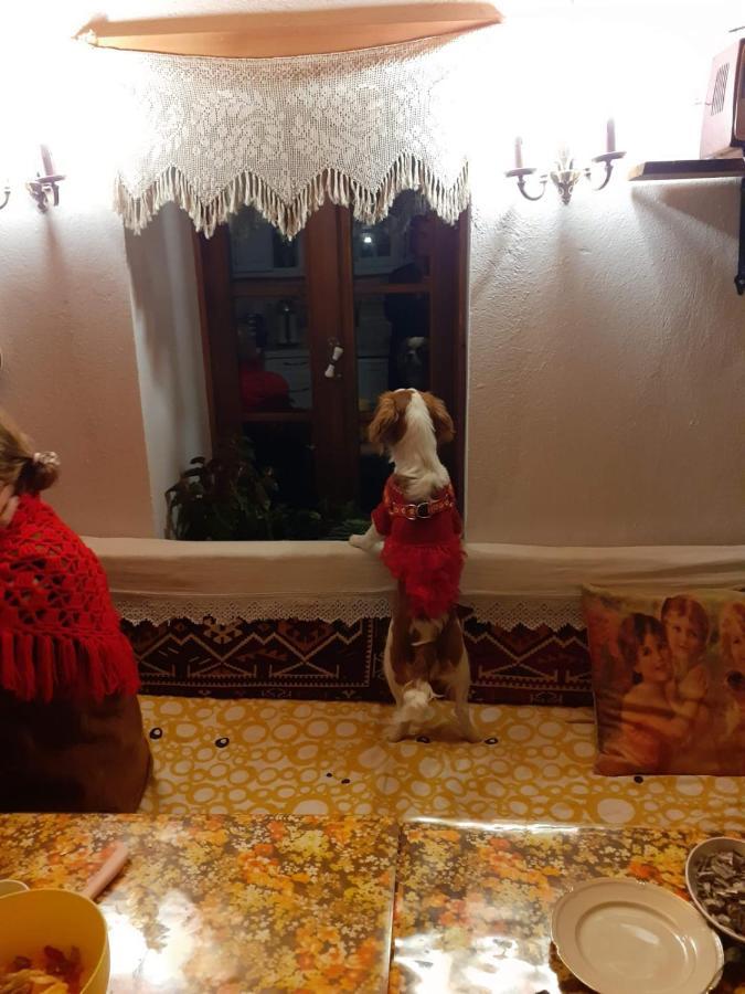 Katina Boutique Otel Sirince Kültér fotó